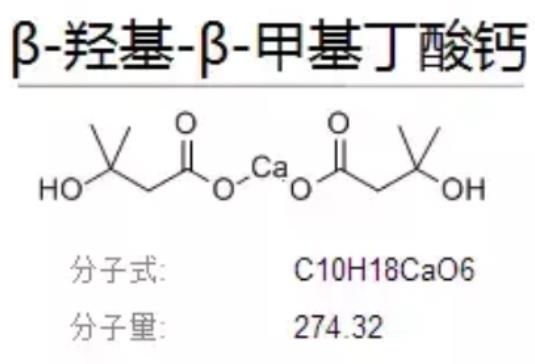 十年磨一劍,HMB不改初心守護(hù)老年人肌肉健康