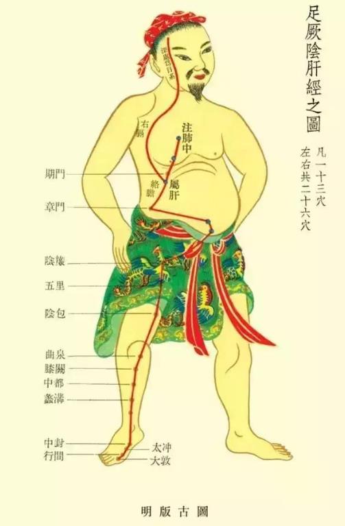 肝經的準確位置圖 肝經不通的癥狀