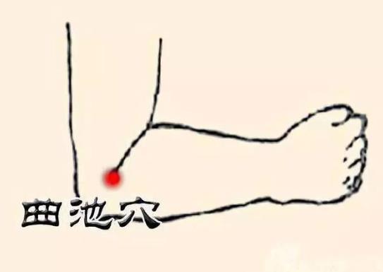 曲池的準(zhǔn)確位置圖,曲池的功效與作用