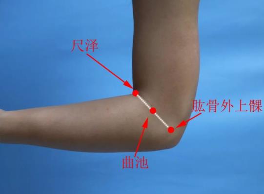 曲池的準(zhǔn)確位置圖,曲池的功效與作用