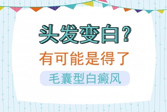 白癜風(fēng)醫(yī)生雷安萍:頭發(fā)變白?有可能是得了毛囊型白癜風(fēng)