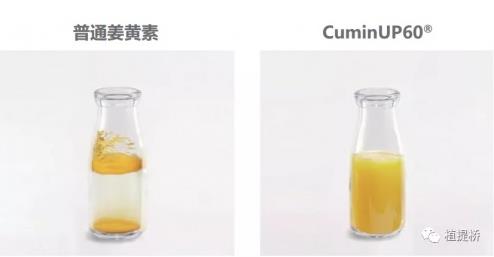 生物利用度突破14倍!看琛藍健康姜黃素的創新研究與進展