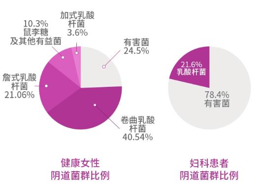 月神女性益生菌,幫你平衡菌群遠(yuǎn)離炎癥困擾