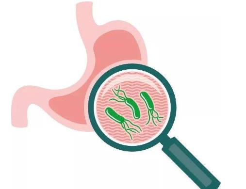 幽門螺桿菌一定會致癌嗎?聚餐怎么避免幽門螺桿菌傳染
