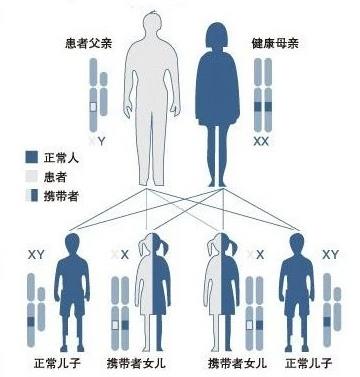 武漢東大肛腸醫院:專業致力于腸胃健康