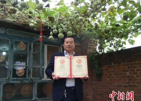 河北唐山一株葫蘆秧生421個葫蘆娃創世界紀錄