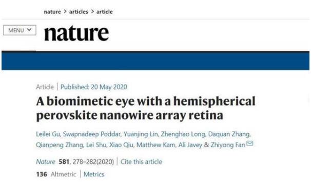 世界首個(gè)3D人工眼球問(wèn)世 預(yù)計(jì)五年內(nèi)人造3D眼球讓數(shù)百萬(wàn)盲人重見(jiàn)光明