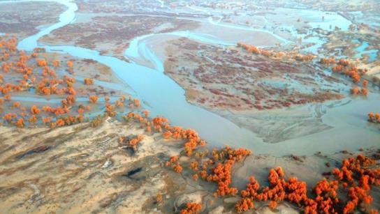 第一大內陸盆地 塔里木盆地光照豐富油氣資源好