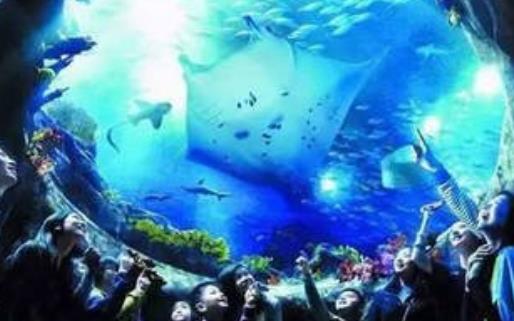 世界最大室內海洋展館 永泰海洋極地世界占地面積近200畝