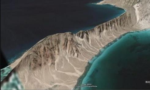 世界上最像外星的小島 索科特拉島有龍血樹