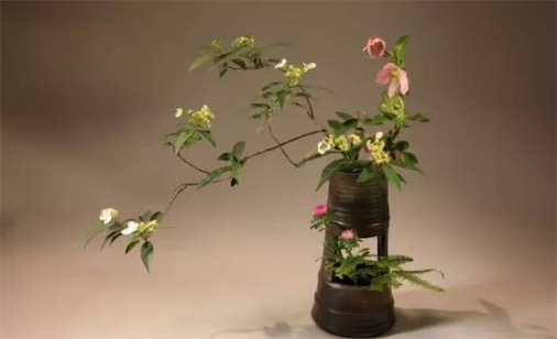 世界上最大的插花 安貝德卡體育場有25979平方英尺插花