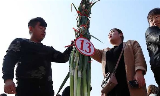 世界上最高的大蔥 濟(jì)南現(xiàn)2.51米大蔥王