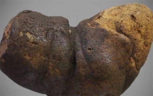 世界上保存最久的糞便 來自12000年前的糞化石