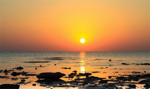 世界最咸的海 紅海鹽度高達43‰