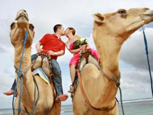 旅行結(jié)婚的具體流程及注意事項
