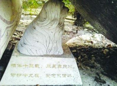 網曝紫金山麓現史上最貴“天價”狗墓,官方回應:狗墓系雕像遭業主曲解