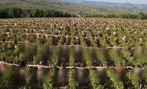 山林中裸體行為藝術：十八萬人集體群裸場面壯觀，將藝術進行到底與色情決無關系