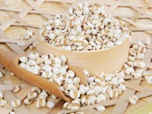 哺乳期能吃薏米嗎？哺乳期吃薏米有什么好處