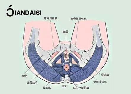 產(chǎn)后漏尿嚴重怎么治療?介紹2個經(jīng)驗