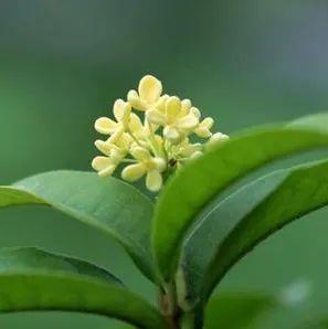 馨蓓安寶寶秋季肌膚護理大作戰(zhàn)
