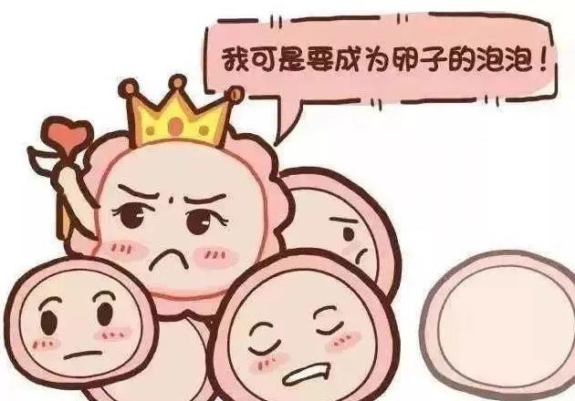 為什么你的卵子不成熟?優貝貝生殖中心專家揭密原因