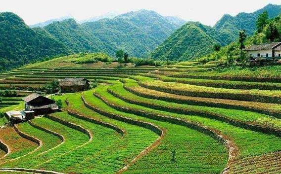 一畝地等于多少平方米?農(nóng)村一畝地有多長多寬(土地單位換算技巧)