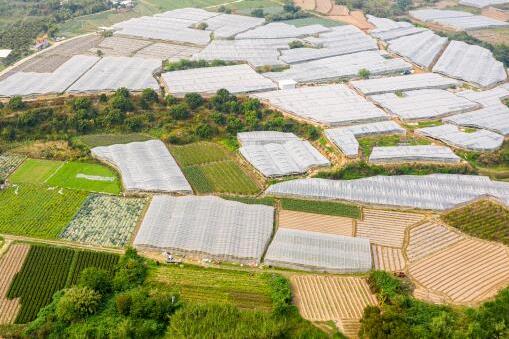 耕保基金是什么?一年補貼多少錢?哪些人可以領取怎么領取