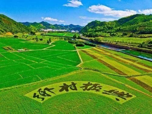 2021國家鄉村振興局正式掛牌!黨組成員有誰?設有哪些機構?