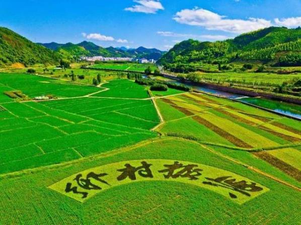 鄉(xiāng)村振興包括哪五方面的振興?鄉(xiāng)村振興戰(zhàn)略有哪些商機(jī)?