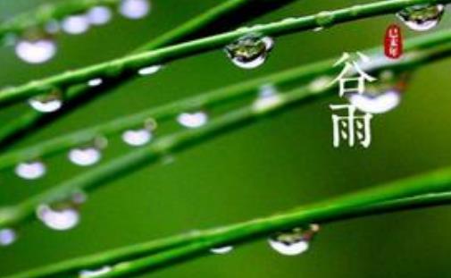 谷雨節氣代表什么?谷雨節氣含義是什么?