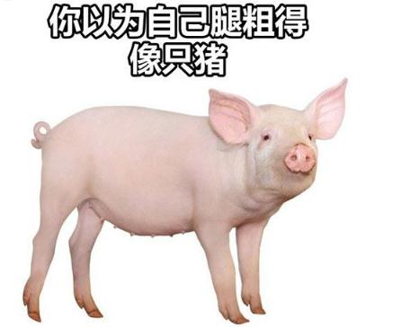 豬腿