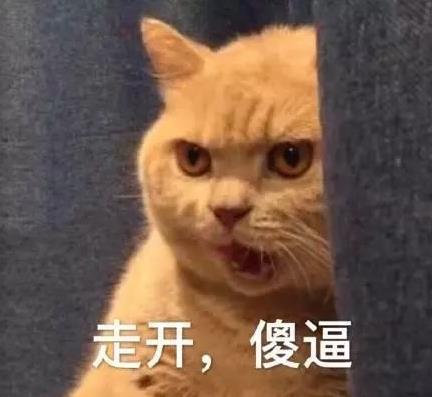 走開,傻逼.jpg