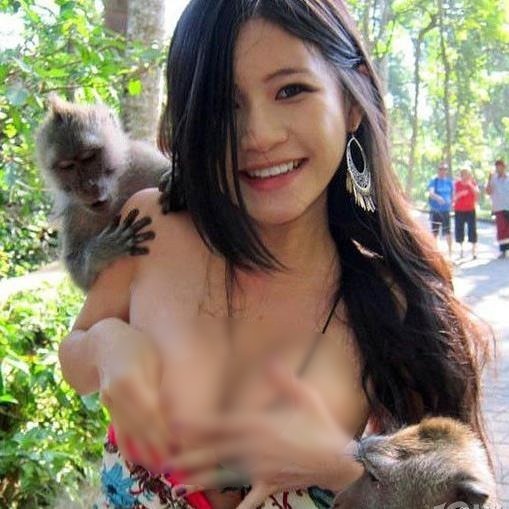 猴子也好色,印尼里島上有一位臺灣美女游客遭到了當?shù)睾镒拥姆嵌Y,這只好色猴子竟然扯下臺灣女游客的胸部衣衫,真是大膽!