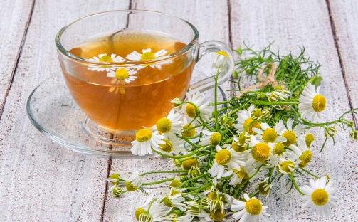 中藥液體類產品——洋甘菊.jpg