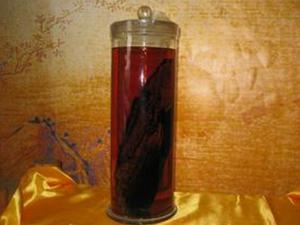 陽痿患者喝什么藥酒？男人的養腎藥酒