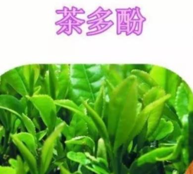 男性都會喝茶 喝茶會給男性的身體帶來的6種好處
