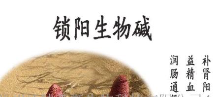 男性都會喝茶 喝茶會給男性的身體帶來的6種好處