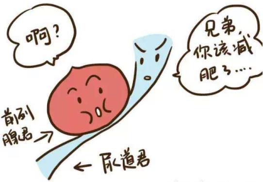 天氣冷了,前列腺炎怎么調養?前列腺炎主要癥狀有哪些?如何預防
