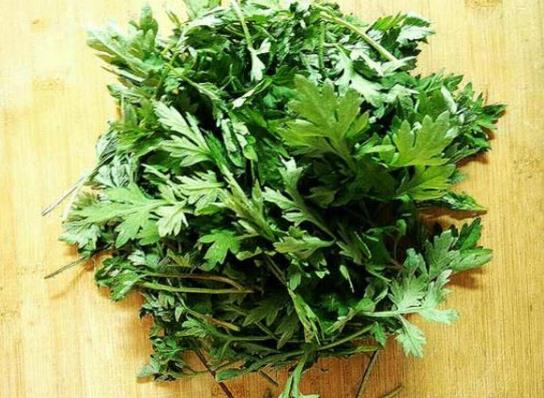 艾草泡腳后有什么排毒反應?經期可以用艾葉泡腳嗎?