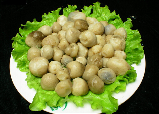 草菇的做法-草菇怎么做營養