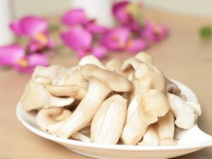 平菇的適宜人群與營養-平菇怎么做好吃？