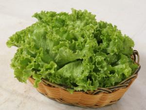 生菜可催眠鎮痛 生菜蘋果汁的做法