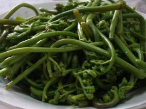 蕨菜怎么做好吃？蕨菜的做法大全