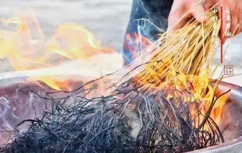 端午節(jié)粽子葉用什么葉子?原來這么多葉子都可以包粽子