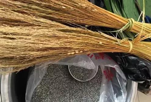 端午節(jié)粽子葉用什么葉子?原來這么多葉子都可以包粽子