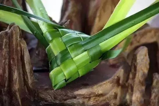 端午節(jié)粽子葉用什么葉子?原來這么多葉子都可以包粽子