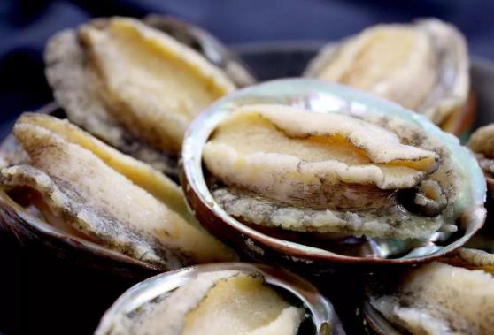 干鮑魚上有白霜是發(fā)霉了嗎?鮑魚粥里的鮑魚要煮多久?