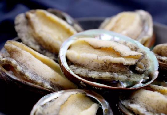鮑魚發霉點了怎么處理?做鮑魚粥什么時間放鮑魚最好?