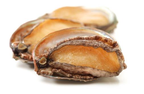 新鮮鮑魚蒸幾分鐘口感好 新鮮鮑魚冷水煮還是熱水煮