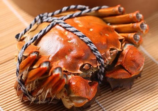 大閘蟹吐沙需要解開繩子嗎?大閘蟹吐沙用清水還是用鹽水